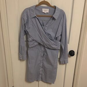 The Shirt by Rochelle Behrens Blue and White Striped Shirt